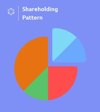 Shareholding Patterns